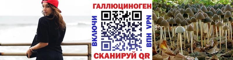 Купить  Лениногорск  Галлюциногенные грибы мицелий 