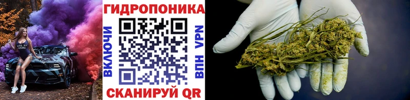Купить где  Лениногорск  МАРИХУАНА сатива 